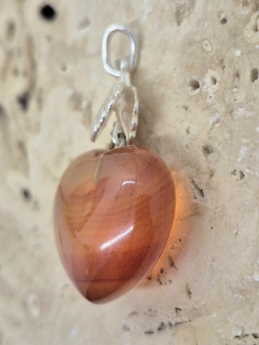 Pendentif Coquille St Jacques et son...