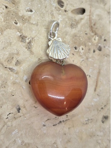 Pendentif Coquille St Jacques et son...