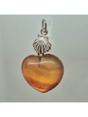 Pendentif Coquille St Jacques et son...